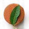 Natural clay and leaf icon